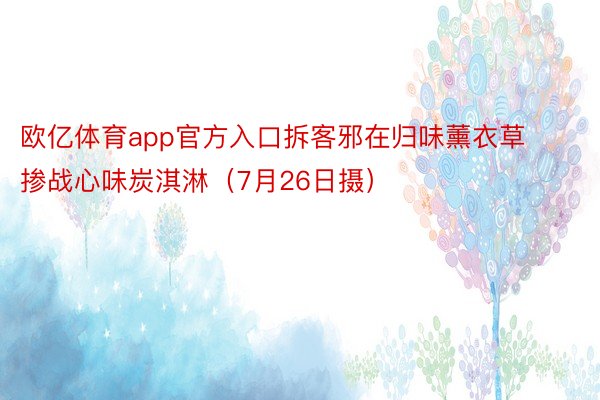 欧亿体育app官方入口拆客邪在归味薰衣草掺战心味炭淇淋（7月26日摄）